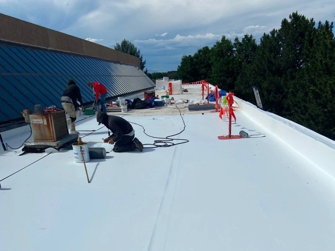 TPO Single-Ply Roofing